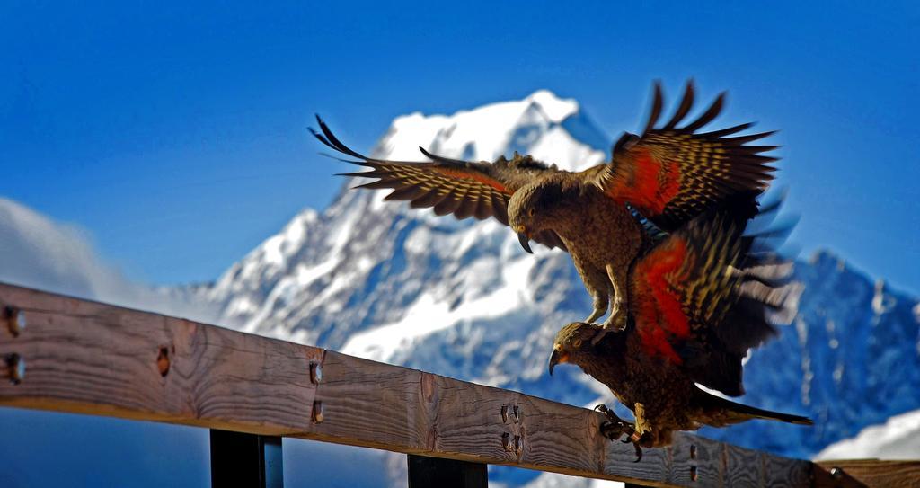 Hotel Glentanner Park Centre Aoraki / Mount Cook Exterior foto